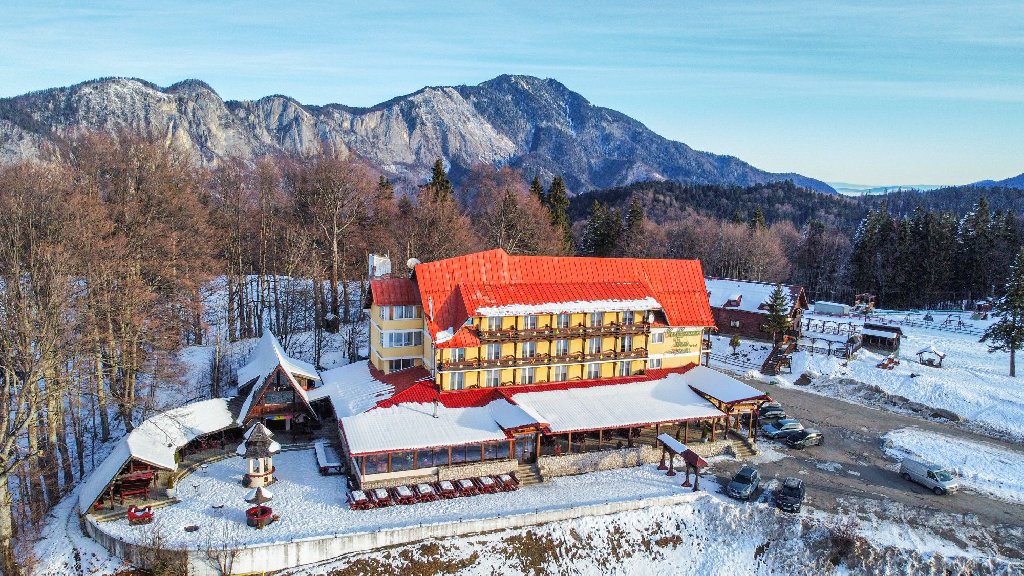 Cabana Trei Brazi Cm